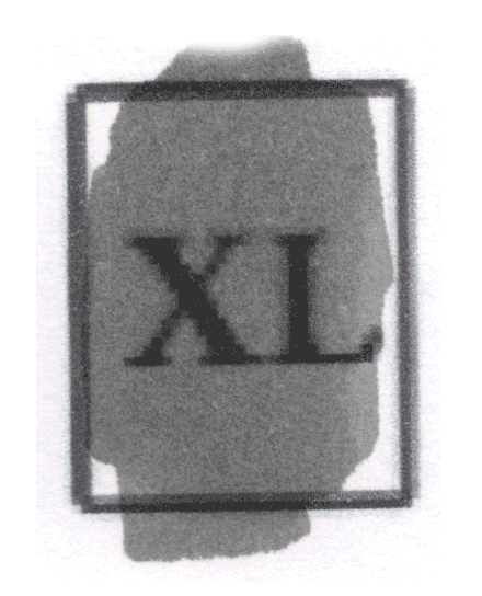 Size XL - Unavailable